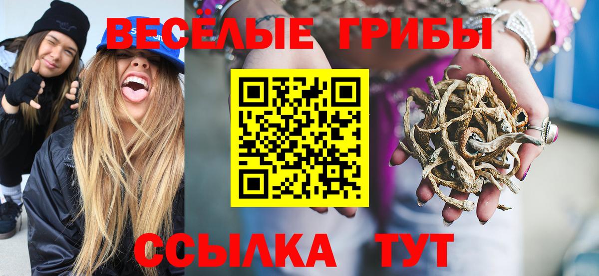 Сердобск  Псилоцибиновые грибы GOLDEN TEACHER  Вход с VPN  Псилоцибиновые грибы Psilocybine cubensis 