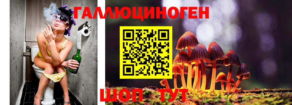 Галлюциногенные грибы Psilocybe Сердобск